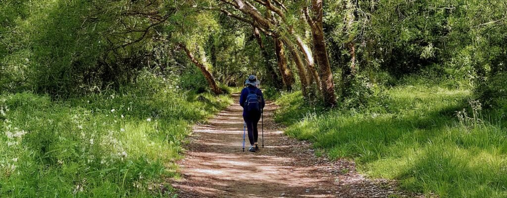 Camino a tu Interior, un espacio de calma para mirar hacia dentro