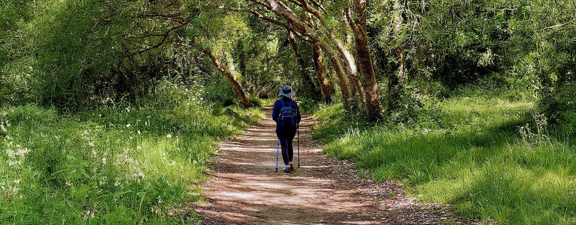 Camino a tu interior